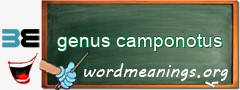 WordMeaning blackboard for genus camponotus